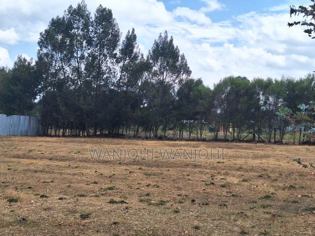 High-Grade Eighth Acre Plots at Kasuku - thumbnail 6