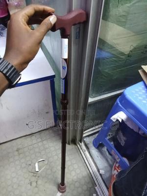 Walking Stick/Walking Stick - thumbnail 2