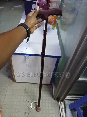 Walking Stick/Walking Stick