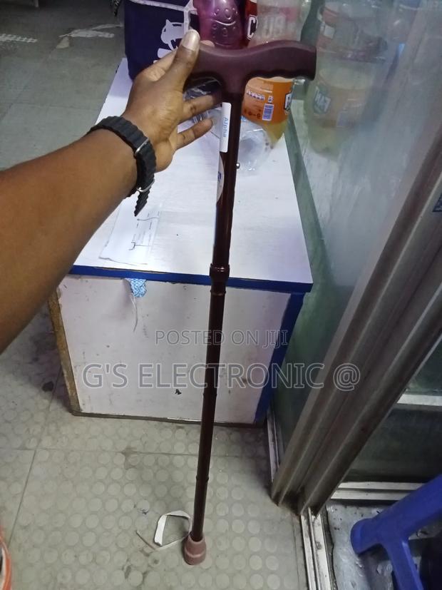 Walking Stick/Walking Stick - thumbnail 3