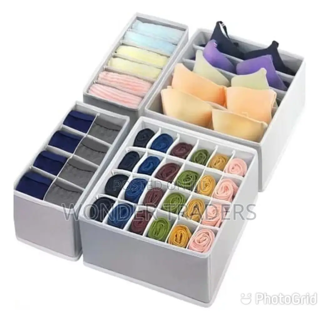 4 in 1 UNDERGARMENT ORGANIZER