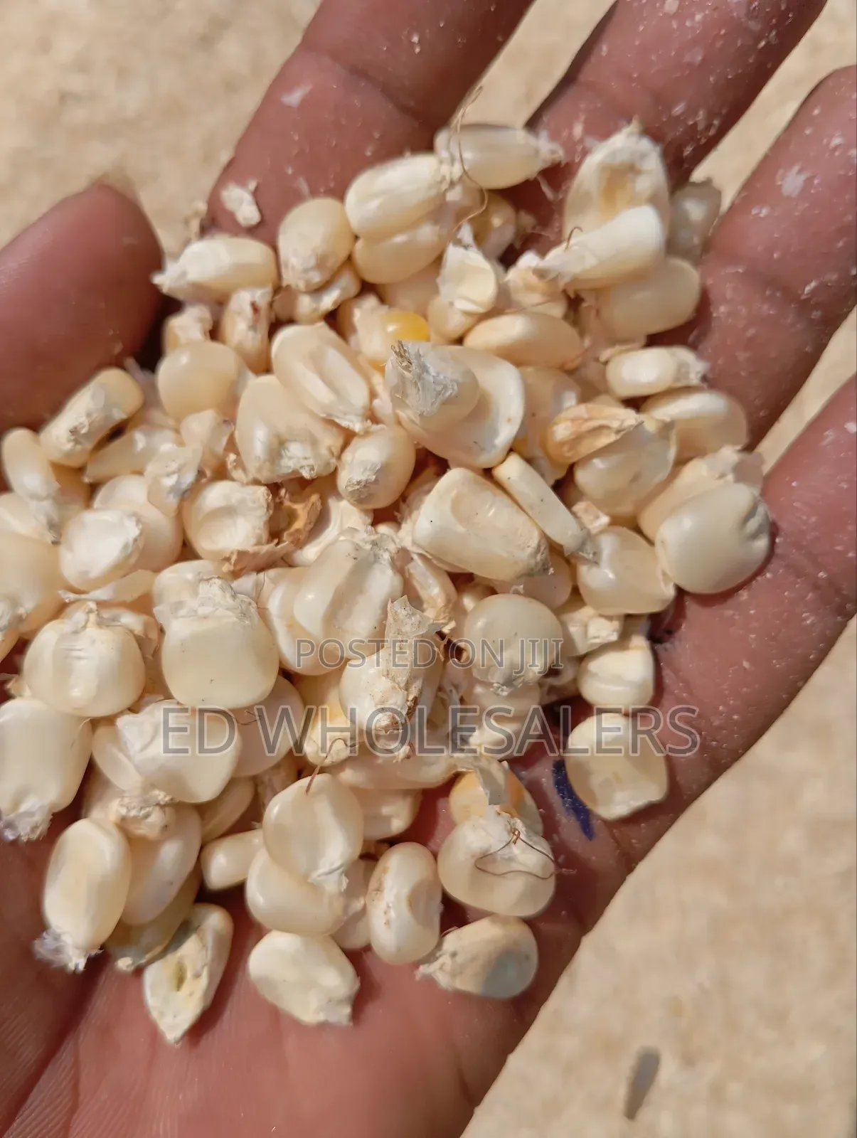 Maize Per Kilo