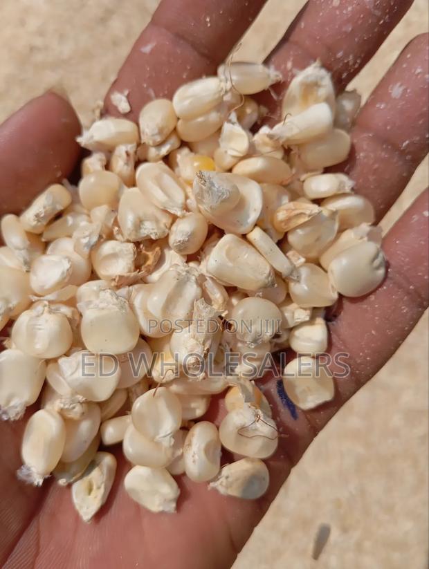 Maize Per Kilo - main view
