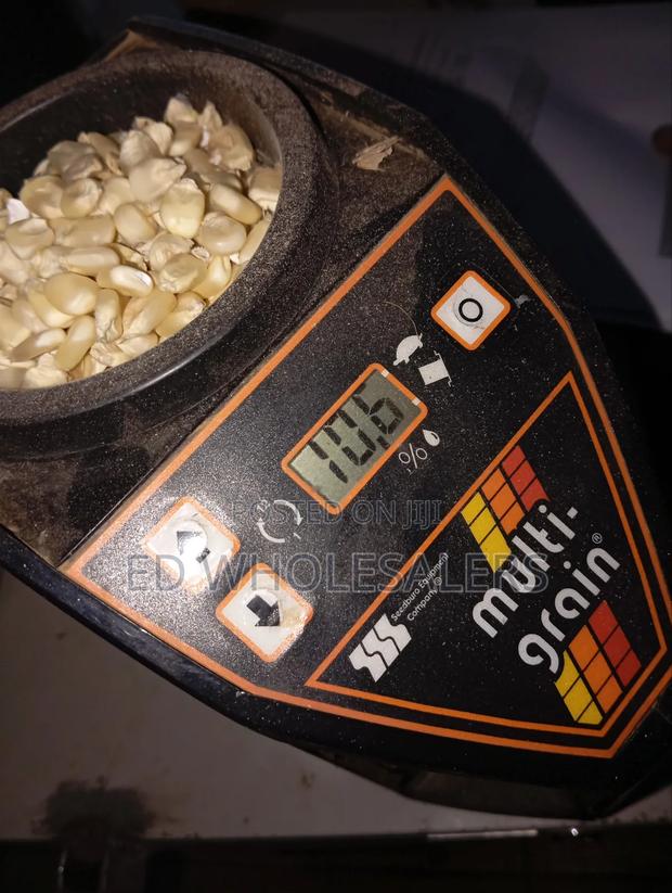 Maize Per Kilo - thumbnail 2