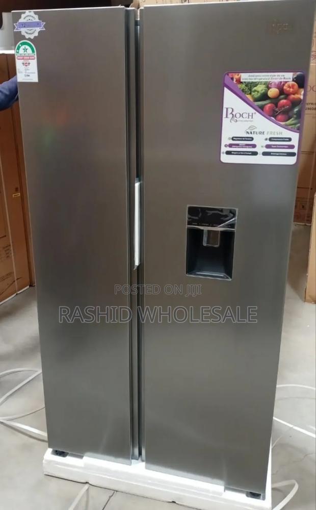 Side By Side Roch 439l Refrigerator.