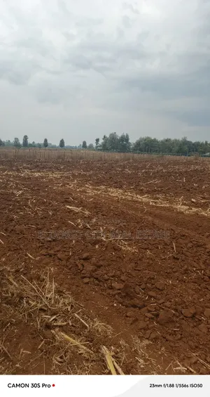 2.5 Acres Kabenes/Kapsang With Title