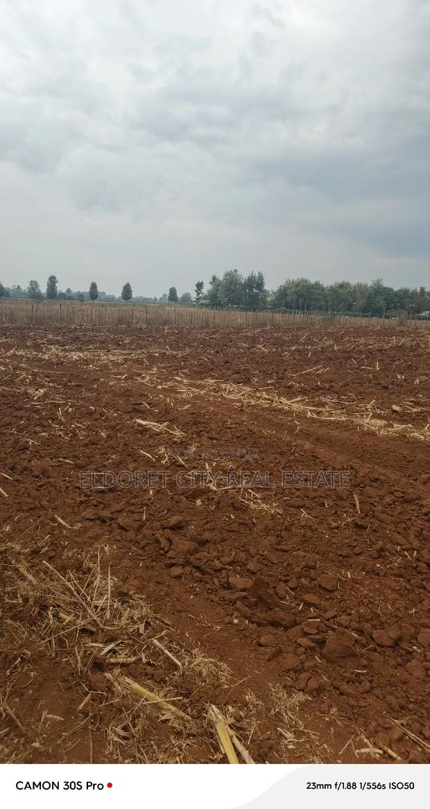 2.5 Acres Kabenes/Kapsang With Title