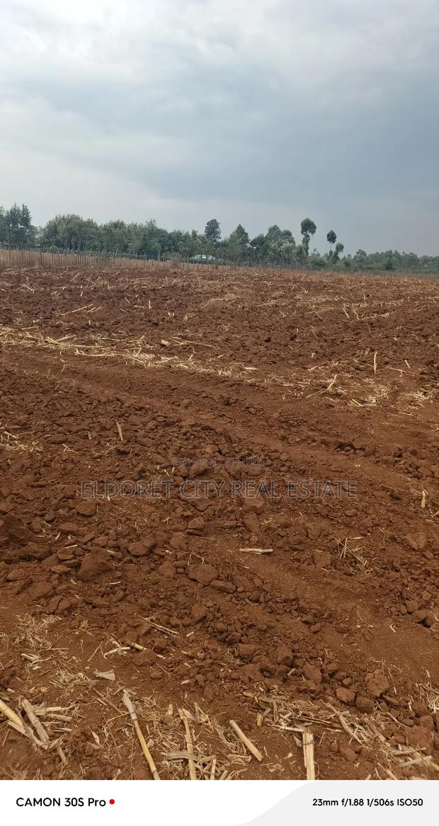 2.5 Acres Kabenes/Kapsang With Title - thumbnail 2