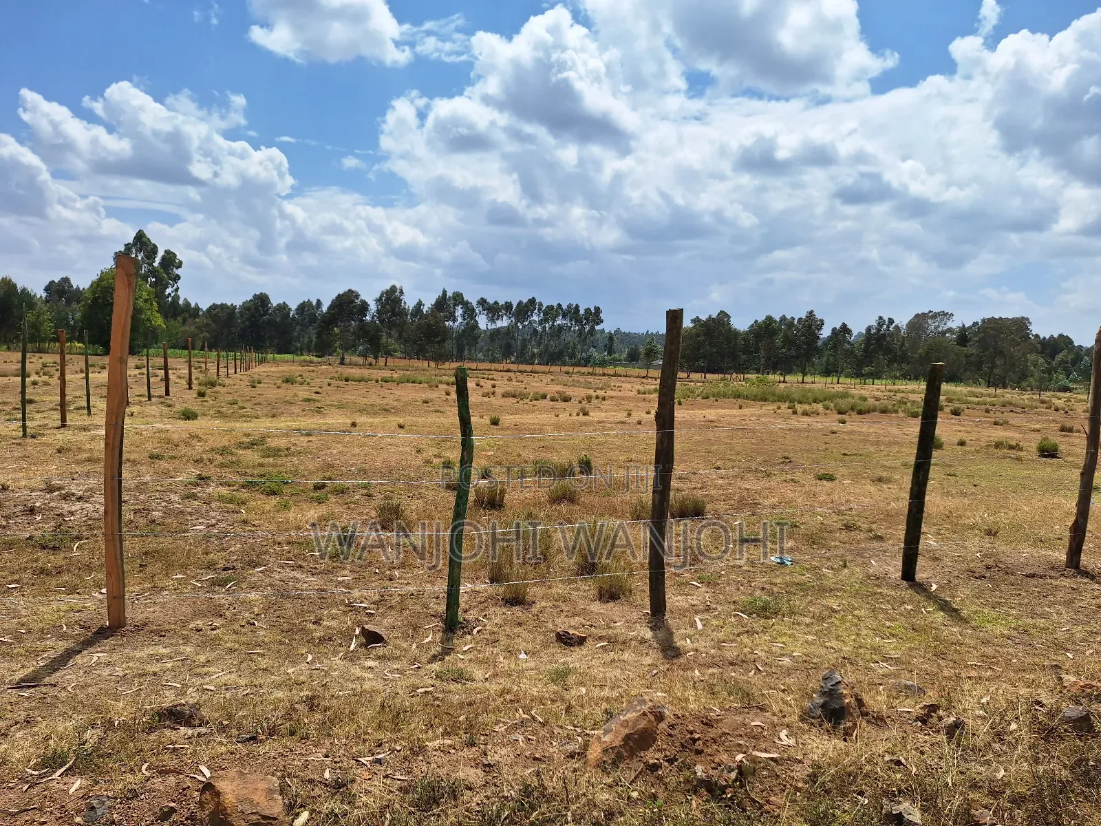 Buy Build Prime Plots