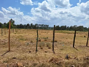 Buy Build Prime Plots