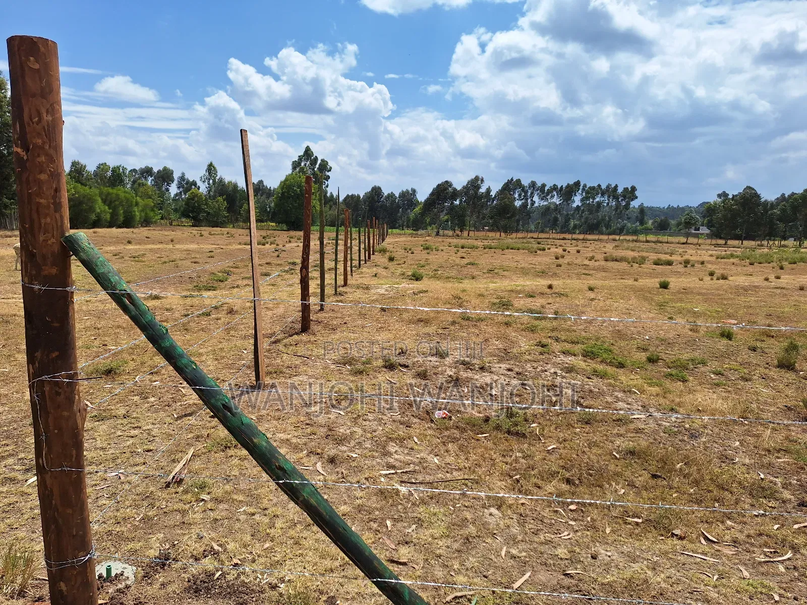 Buy Build Prime Plots
