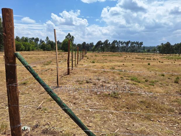 Buy Build Prime Plots - thumbnail 5