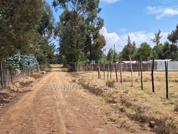 Buy Build Prime Plots - main view