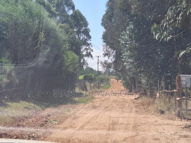 Secure Top Tier Oljoroork Plots - thumbnail 3