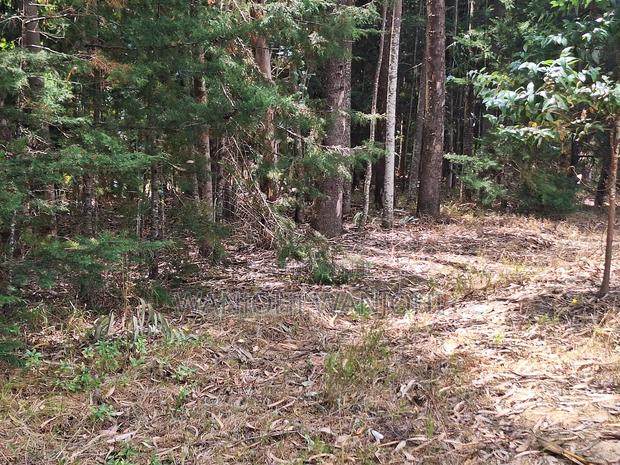 Secure Top Tier Oljoroork Plots - thumbnail 5