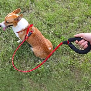 Leash, Dog Leash - thumbnail 2