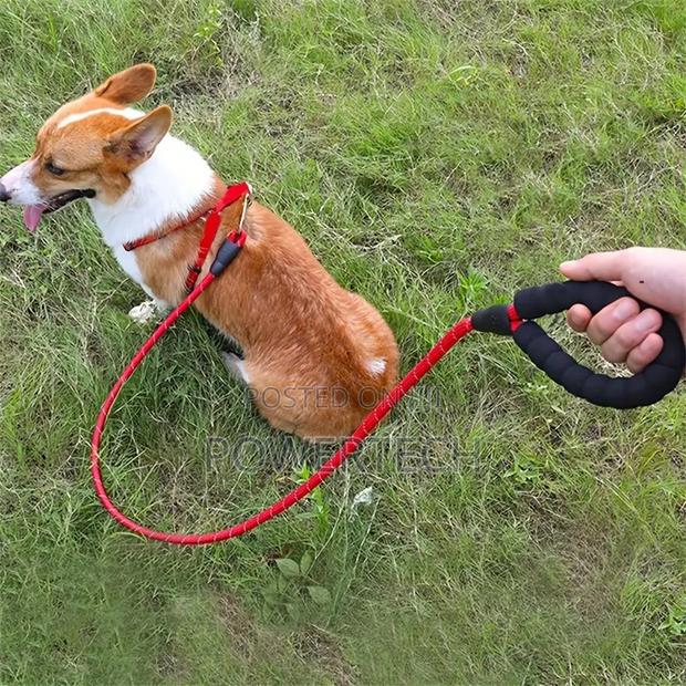Leash, Dog Leash - main view