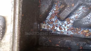 Cockroaches Pesticide