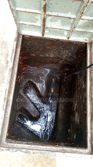 Cockroaches Pesticide