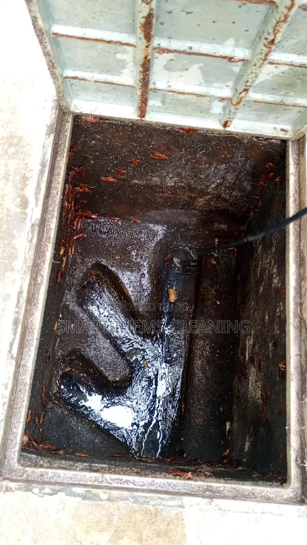 Cockroaches Pesticide - thumbnail 3