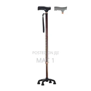 Adjustable Self Standing Walking Stick