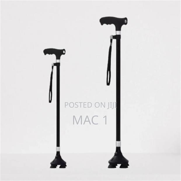 Adjustable Size Walking Sticks - main view