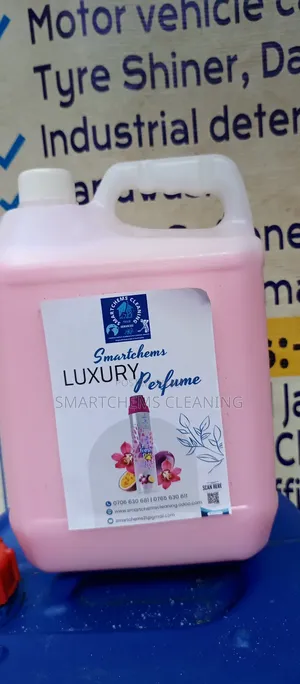 House Air Freshener