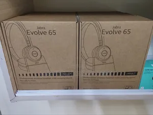 Jabra Evolve 65 Se Stereo Headset With Stand Usb-A)