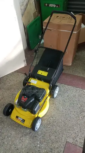 Wasp Gasoline Lawnmower 139cc