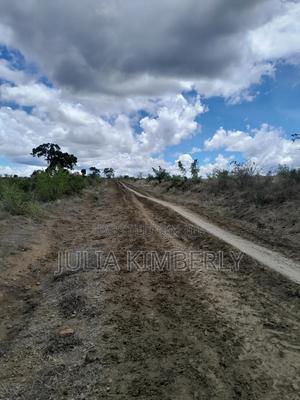 Kwale Tsunza Dongo Kundu Bypass - thumbnail 2