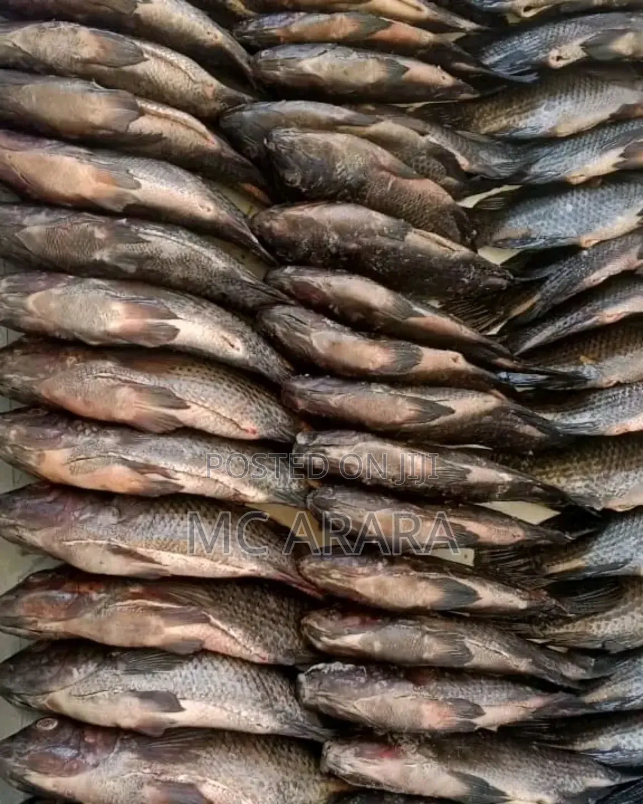 Chosen Fish Suppliers