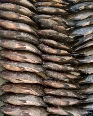Chosen Fish Suppliers