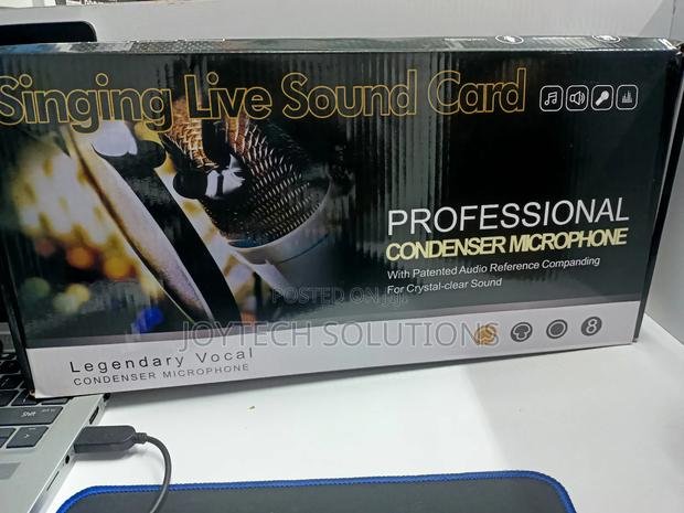 Professional Recording Microphone - main view