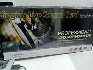 Professional Recording Microphone
