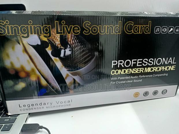 Professional Recording Microphone - thumbnail 2