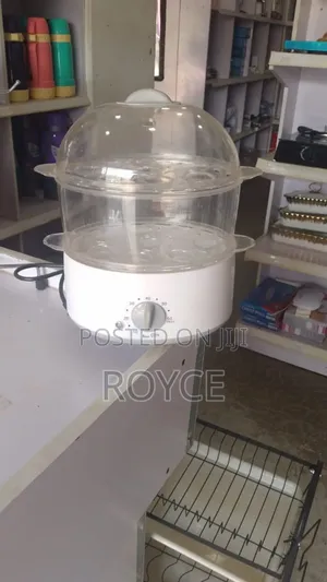 Electric Steam Cooker