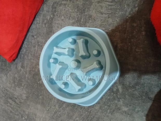 Pet Slow Feeding Anti Slip Bowl