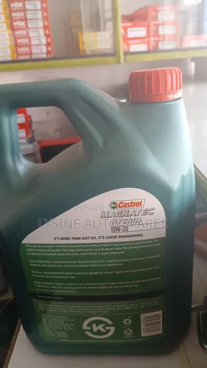 Castrol Magnatec 0w-20 Fully Synthetic Engine Oil