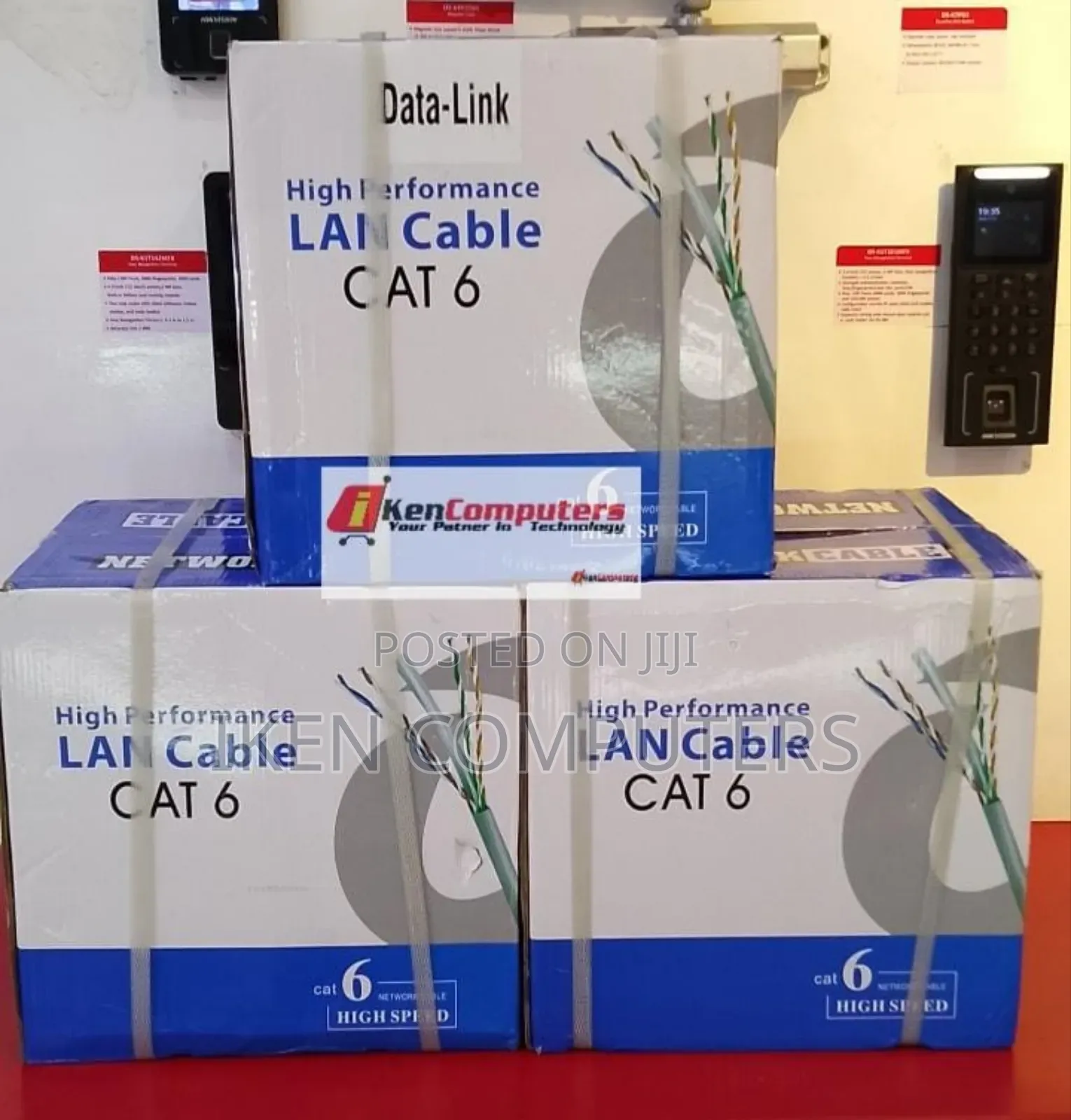 Cat Datalink Indoor