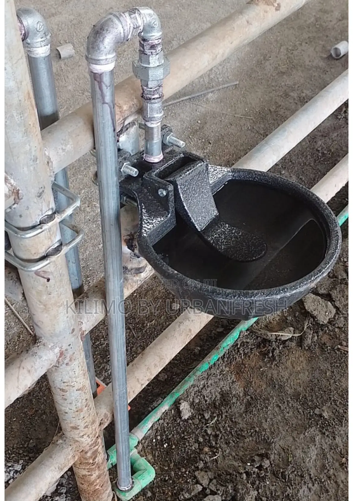 Cast Iron Automatic Drinking Bowl With Tongue Valve.