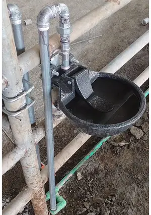 Cast Iron Automatic Drinking Bowl With Tongue Valve.