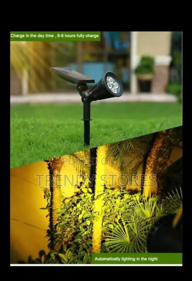Solar Powered Lights