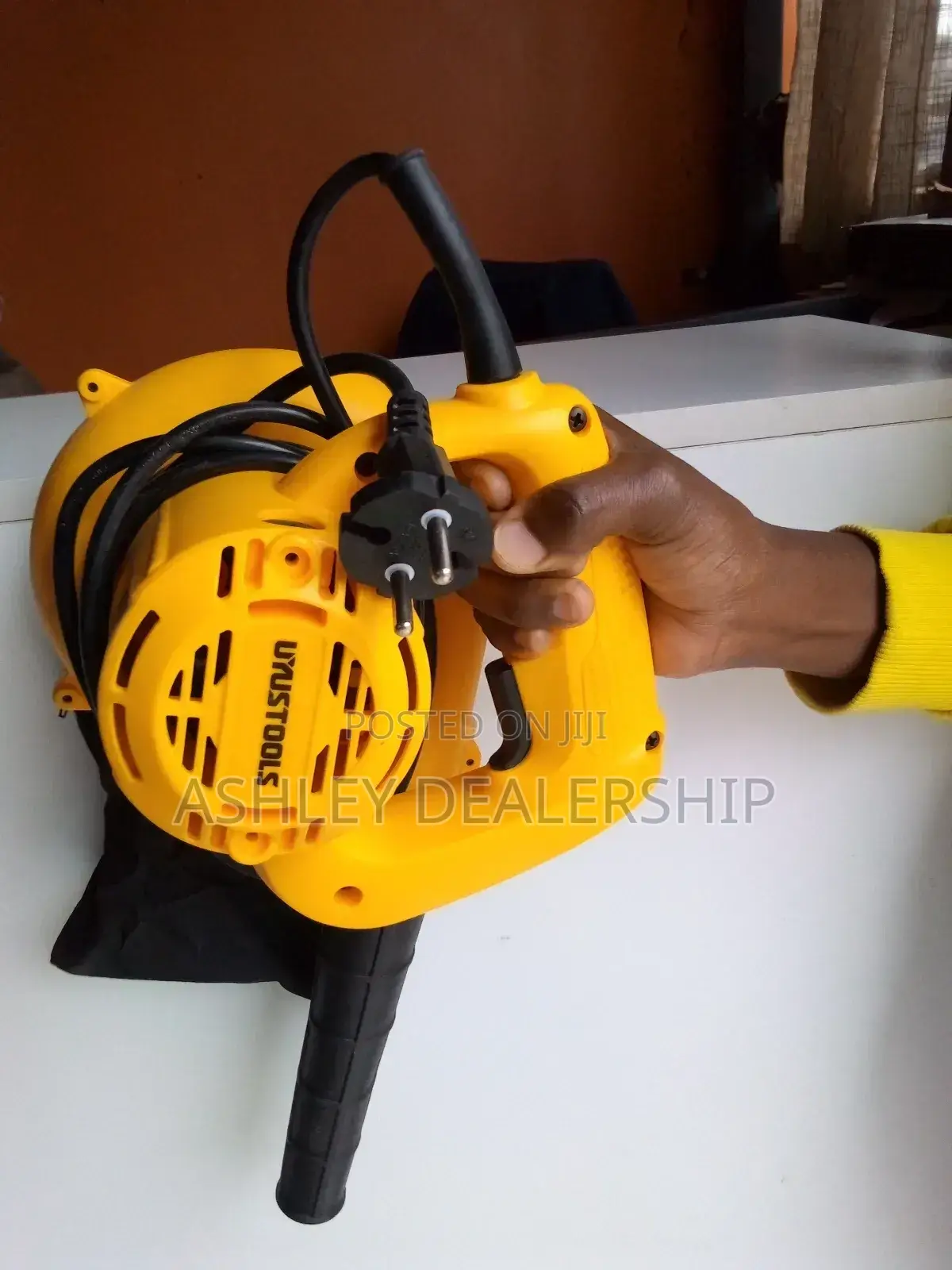 Astramilano Electric Dust Blower