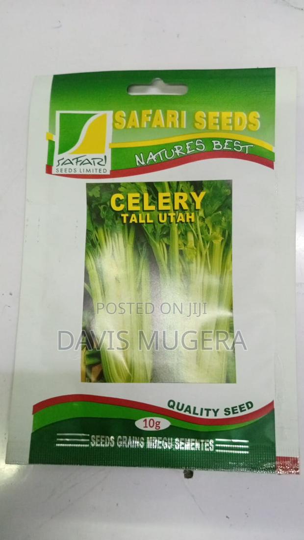 Celery Tall Utah Seeds - 10 Grams - main view
