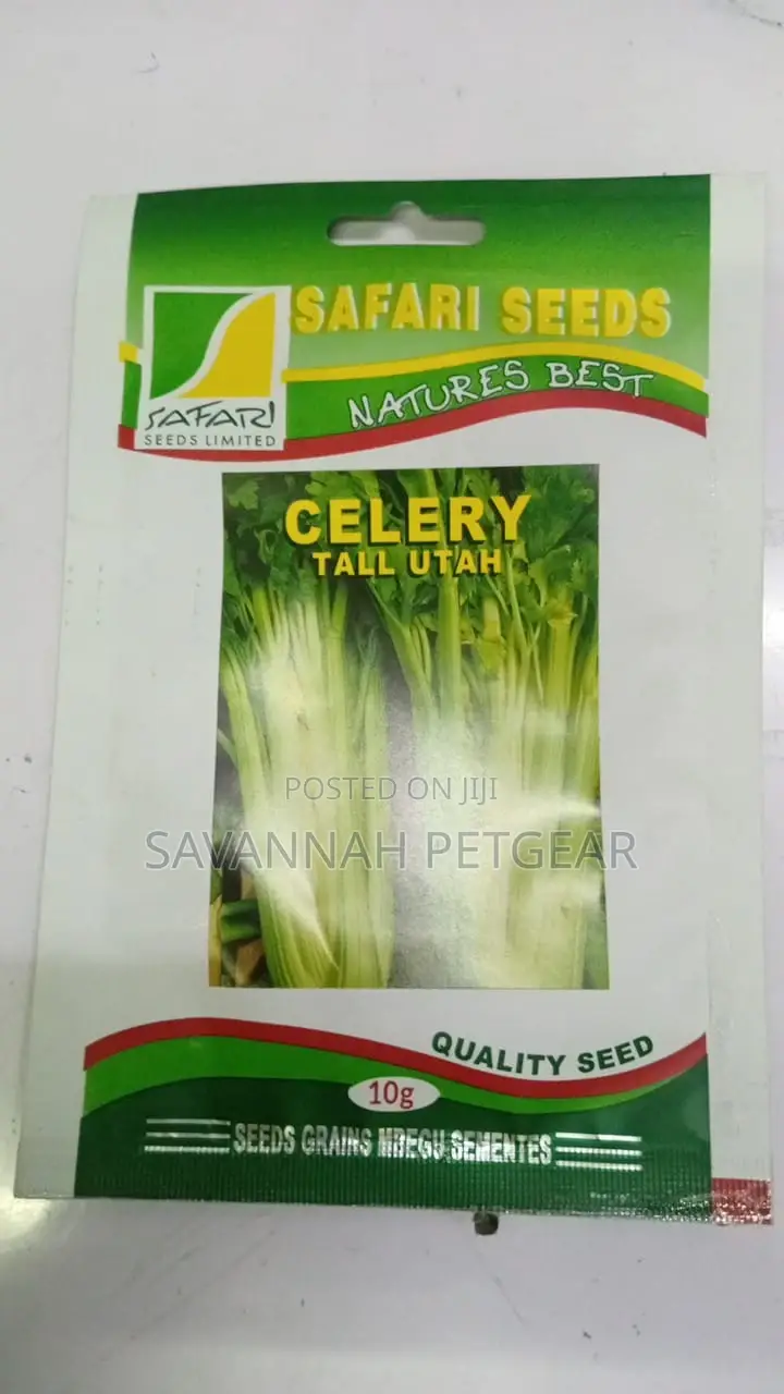 Celery Tall Utah Seeds - 10 Grams