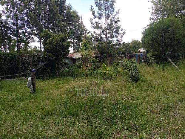 1/4 Acre for Sale in Nkoroi in a Gated Community - thumbnail 5