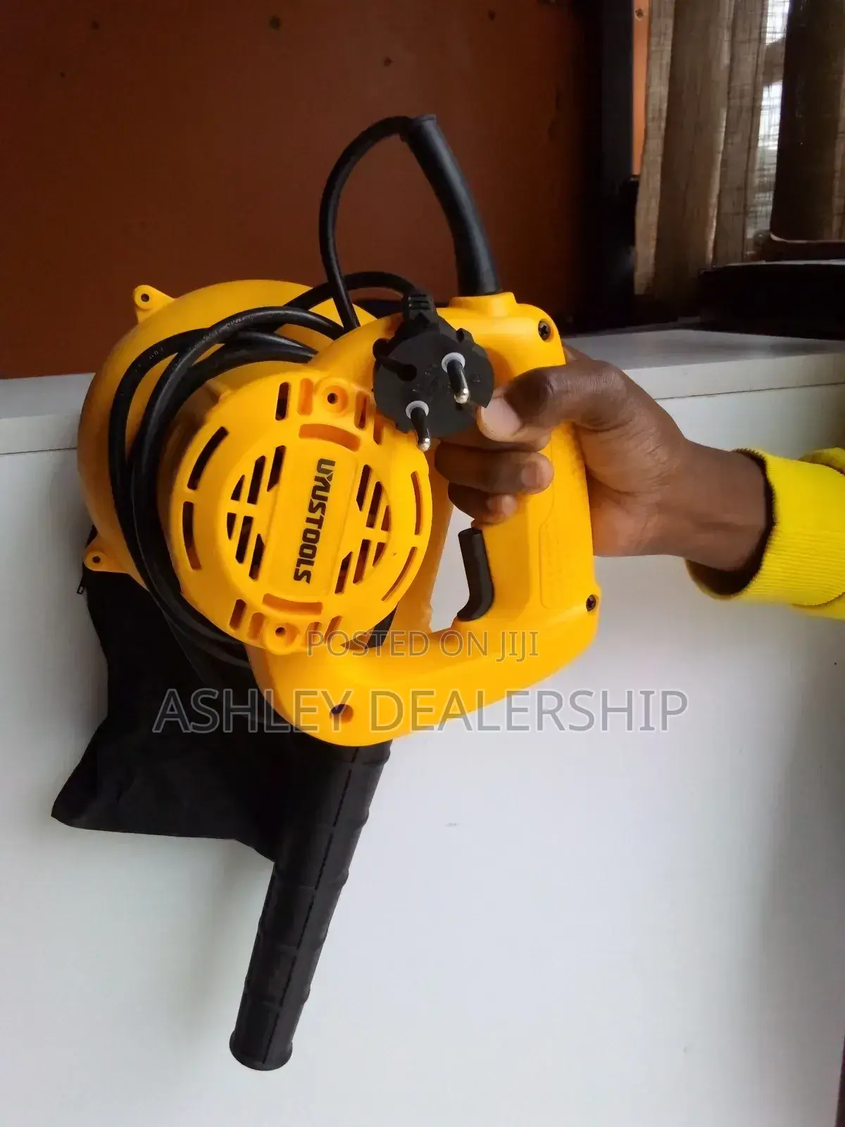 Dust Electric Air Blower