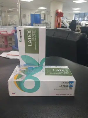 Latex Gloves (Powdered)