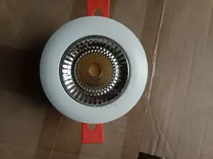 7 W Downlights/ Gypsum Light