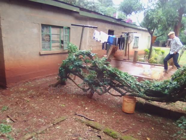 3bdrm Bungalow in Ridgeways, Nairobi Central for rent - thumbnail 15
